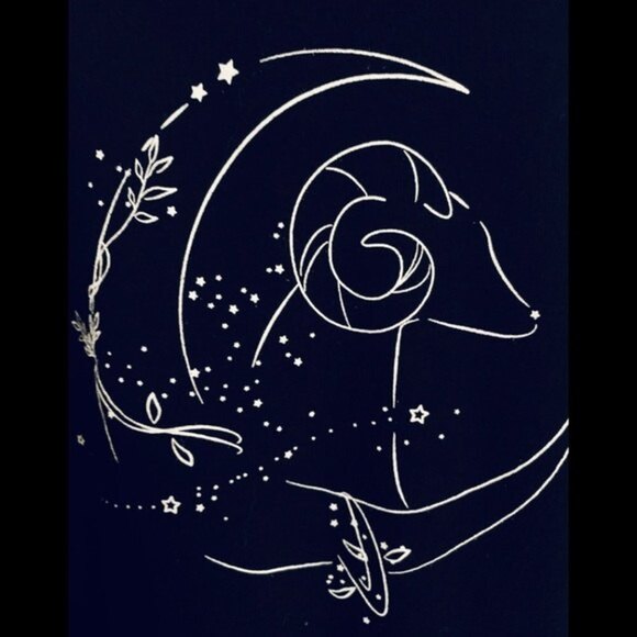 Sundown by Splendid Hoodie Sweat Shirt Moon&Star Animal Design Black Size XS-S - Picture 2 of 16